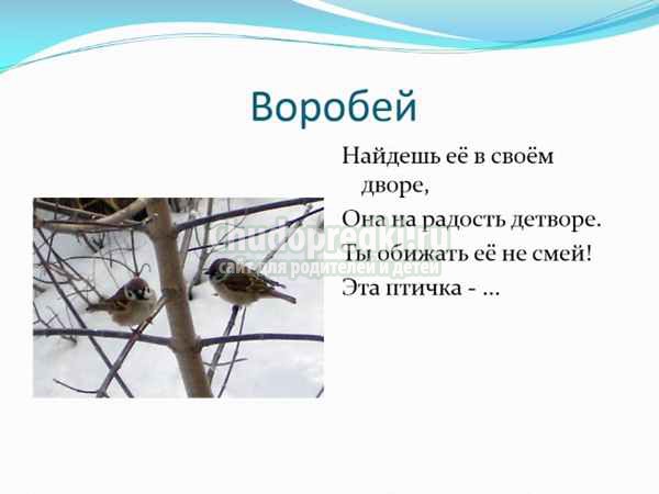 Загадки про птиц для детей