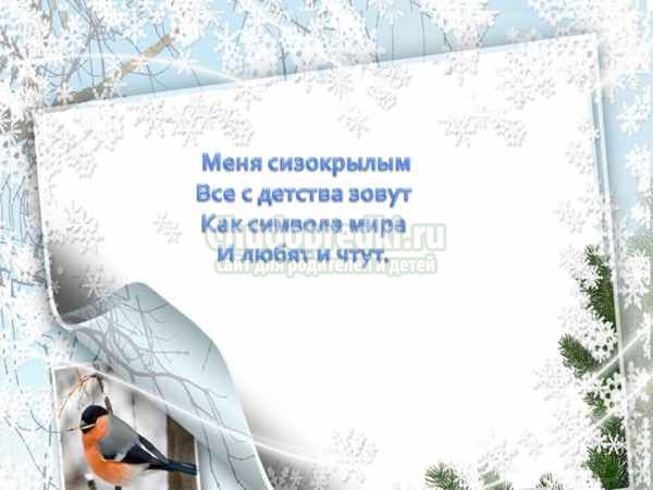 Загадки про птиц для детей