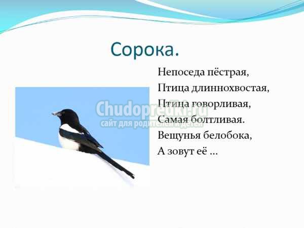 Загадки про птиц для детей