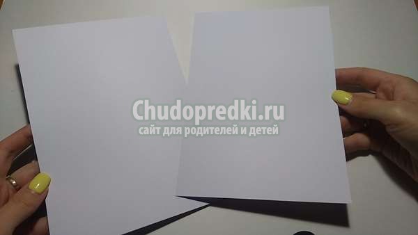 Аппликация из листьев