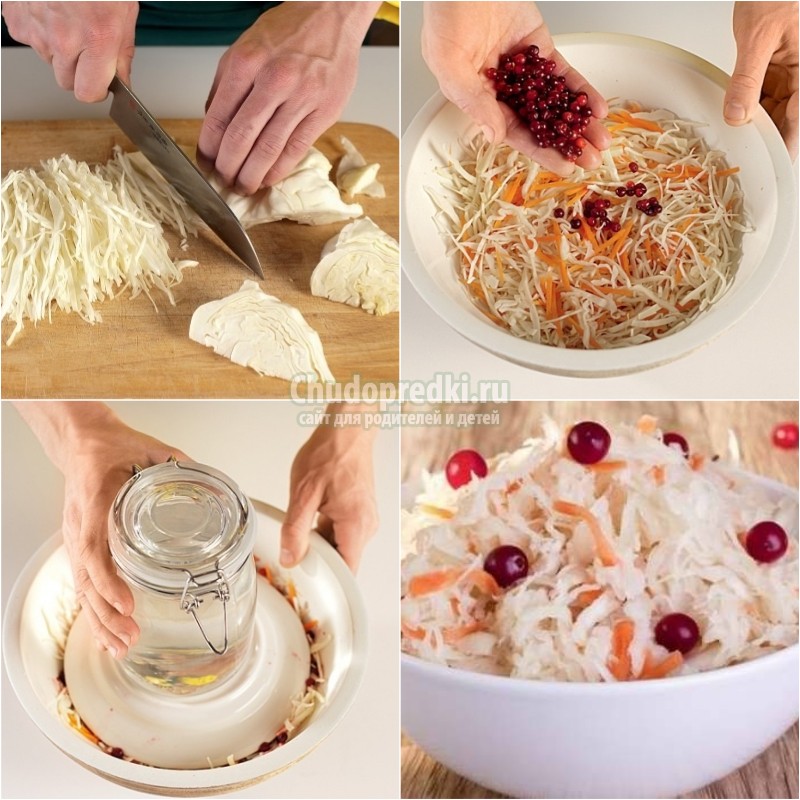 https://www.chudopredki.com/7877-kvashenaya-kapusta-na-zimu.html