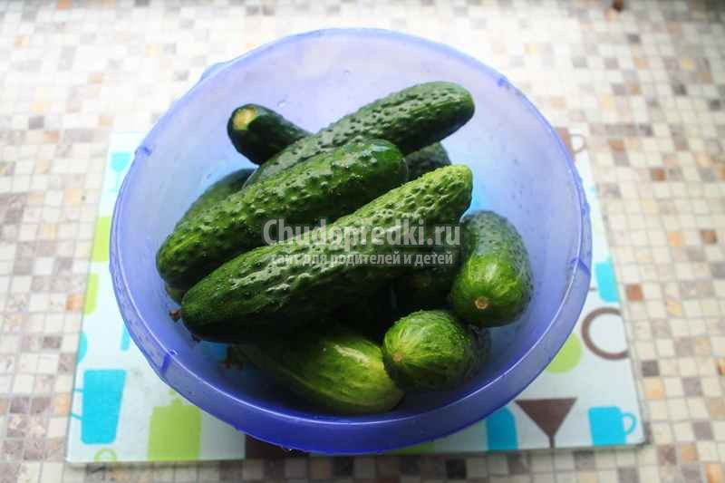 Простой рецепт вкусных малосольных огурцов