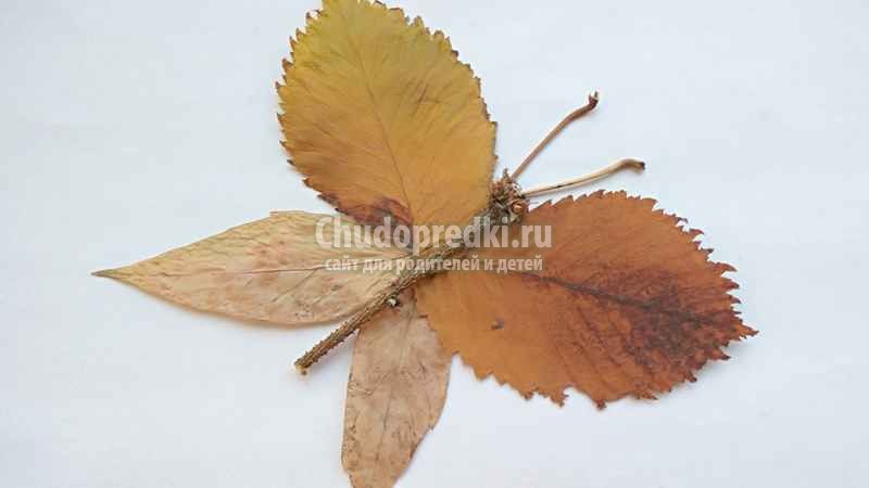 Бабочка из осенних листьев