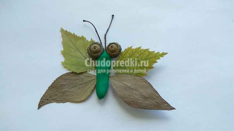 Насекомые из природных материалов