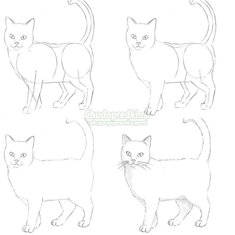 Как нарисовать кошку. Просто и быстро. Поэтапно с фото