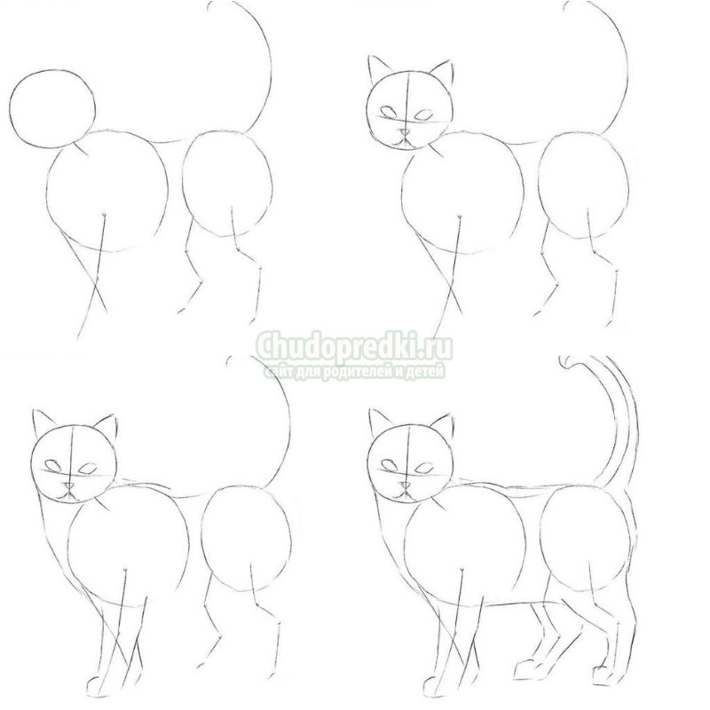 Как нарисовать кошку. Просто и быстро. Поэтапно с фото