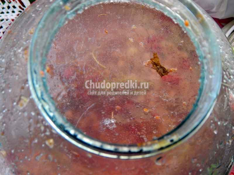 Смородина на самогоне