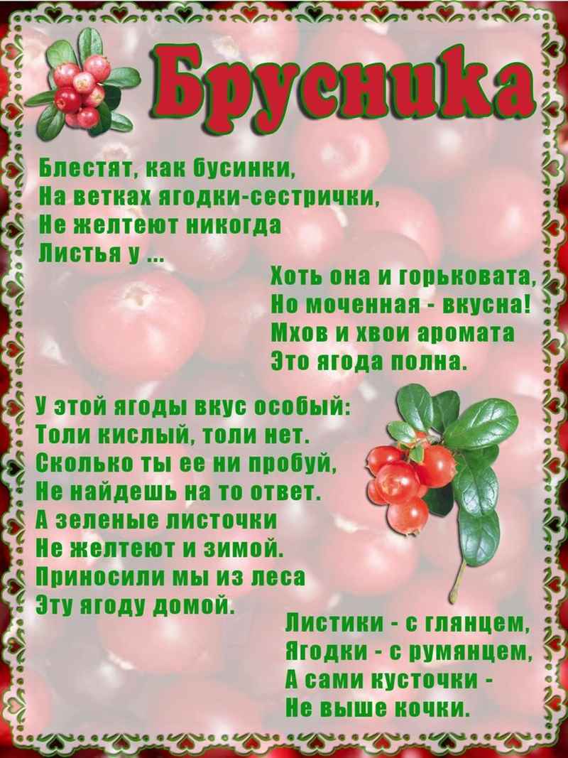 стихи про ягоды
