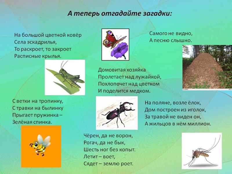загадки