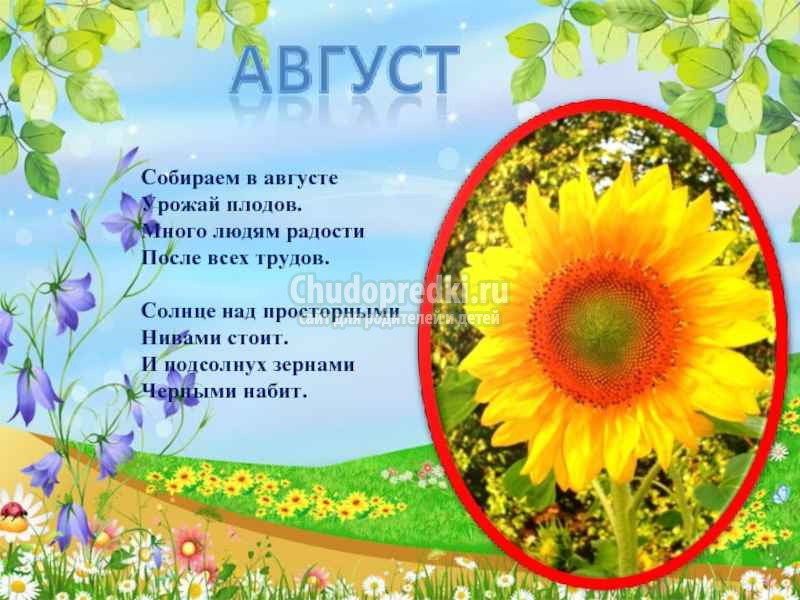 загадки про август для детей с ответами