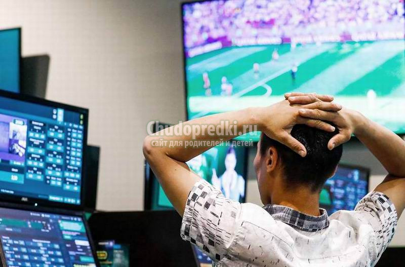 Ставки на спорт: как преуспеть новичку?