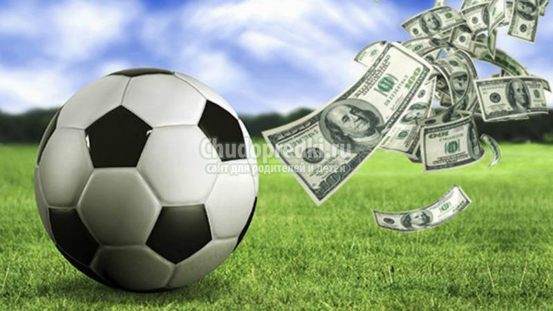 Ставки на спорт: как преуспеть новичку?
